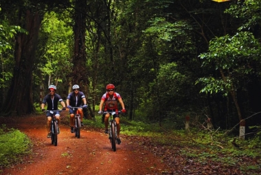 Trải nghiệm đạp xe xuyên rừng tại Hồ Trị An